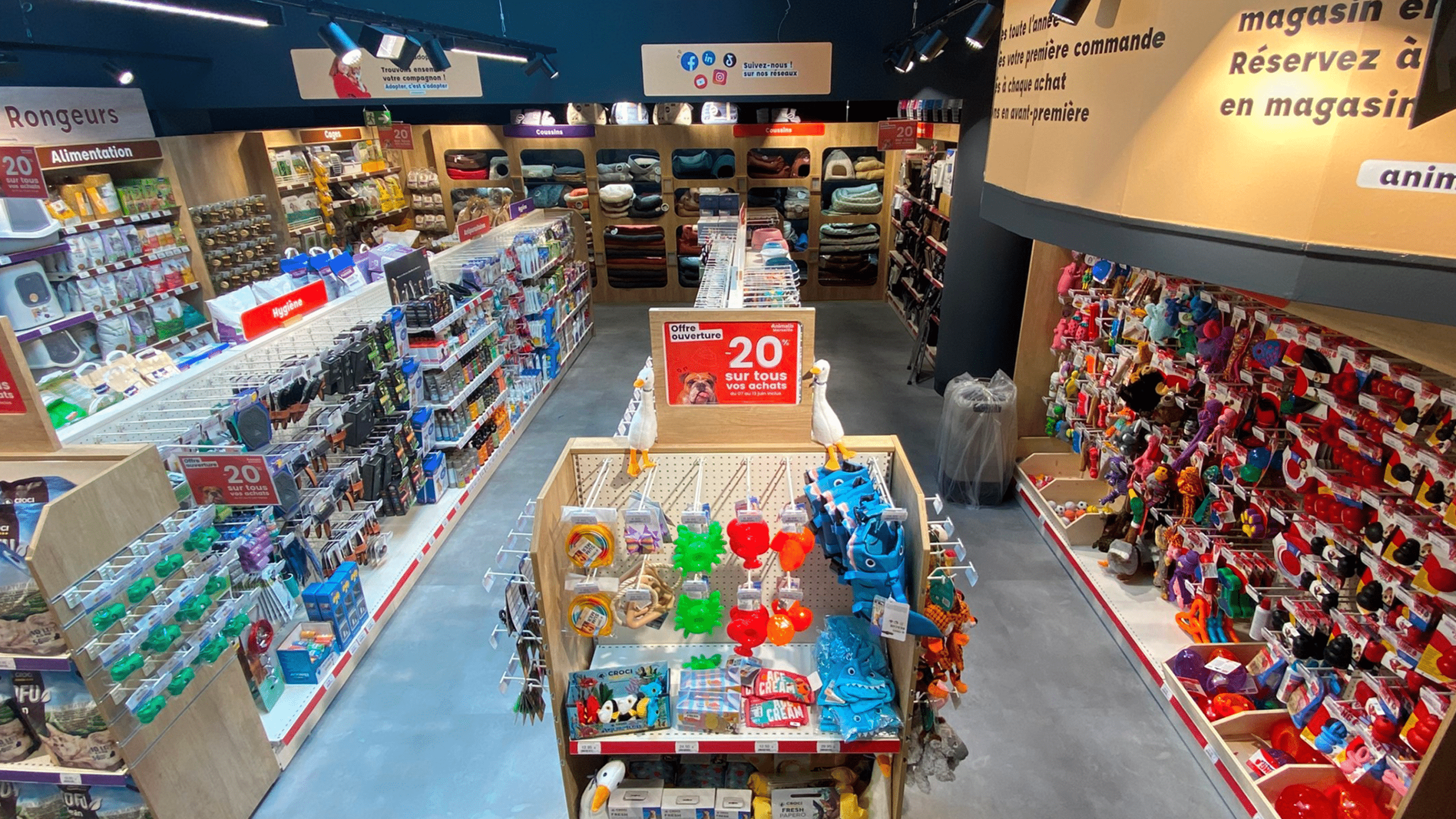 travaux TCE d'une boutique Animalis